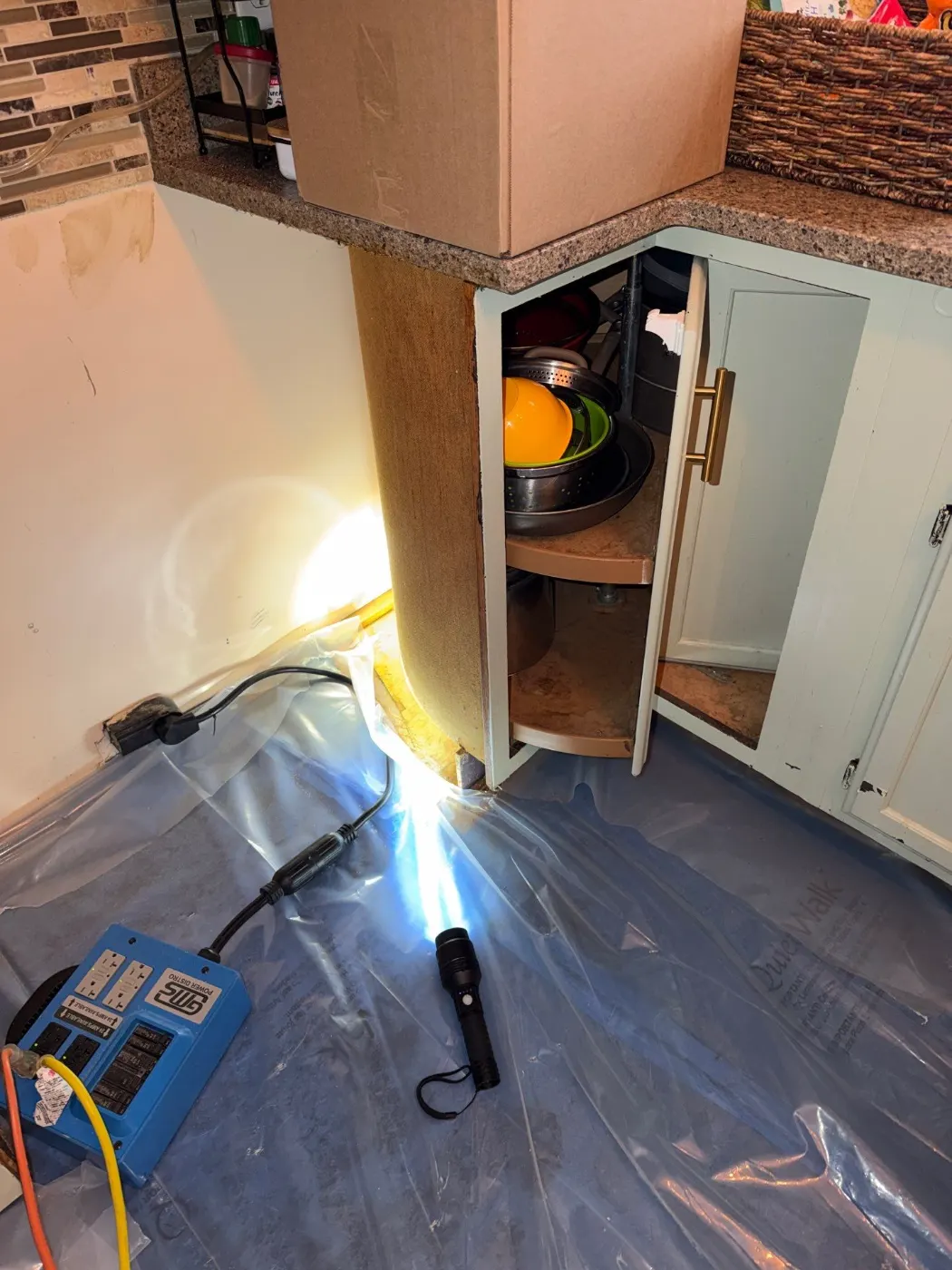 Restoration in Sunset Lake