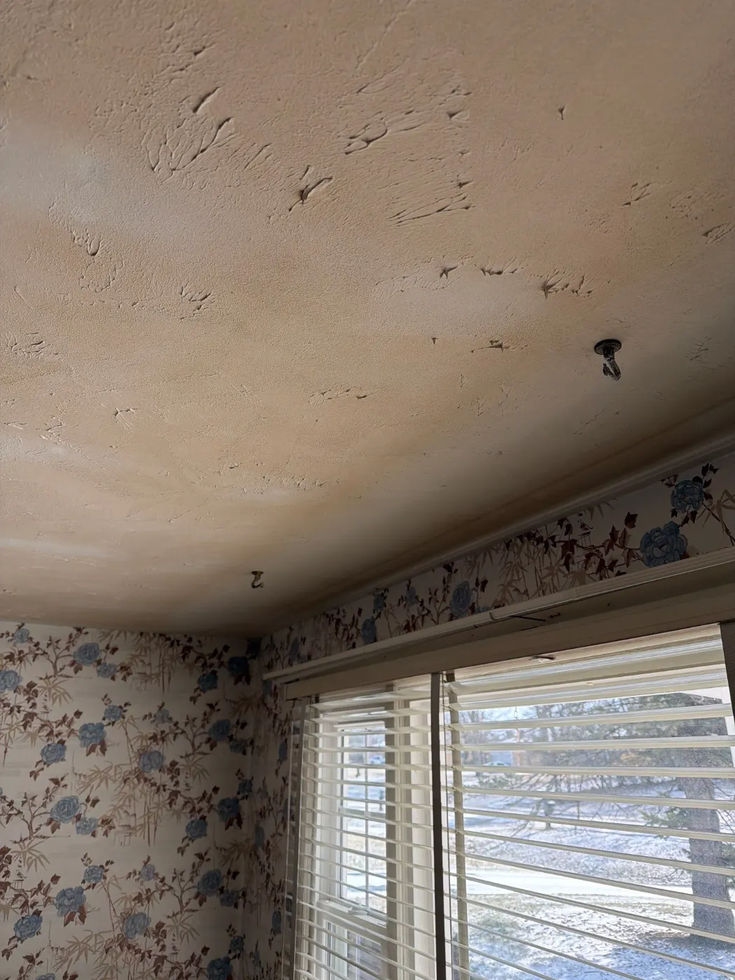 Air movers and dehumidifiers running in Sunset Lake Indiana home dry-out